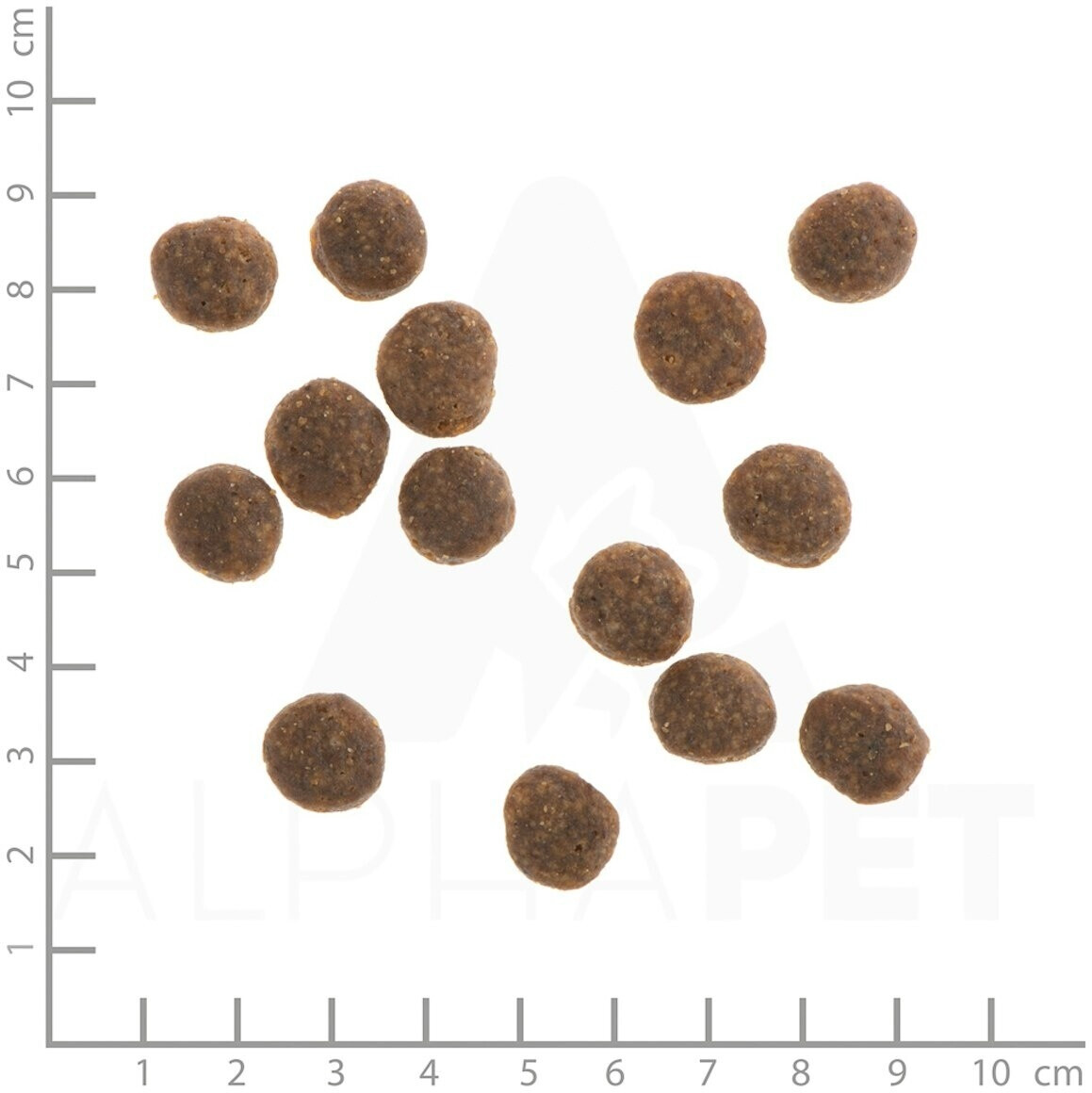 Wildes Land Croquettes pour chien