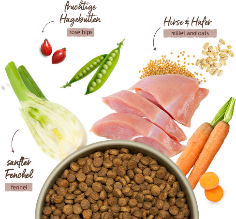 bosch Croquettes pour chien bosch Croquettes pour chien