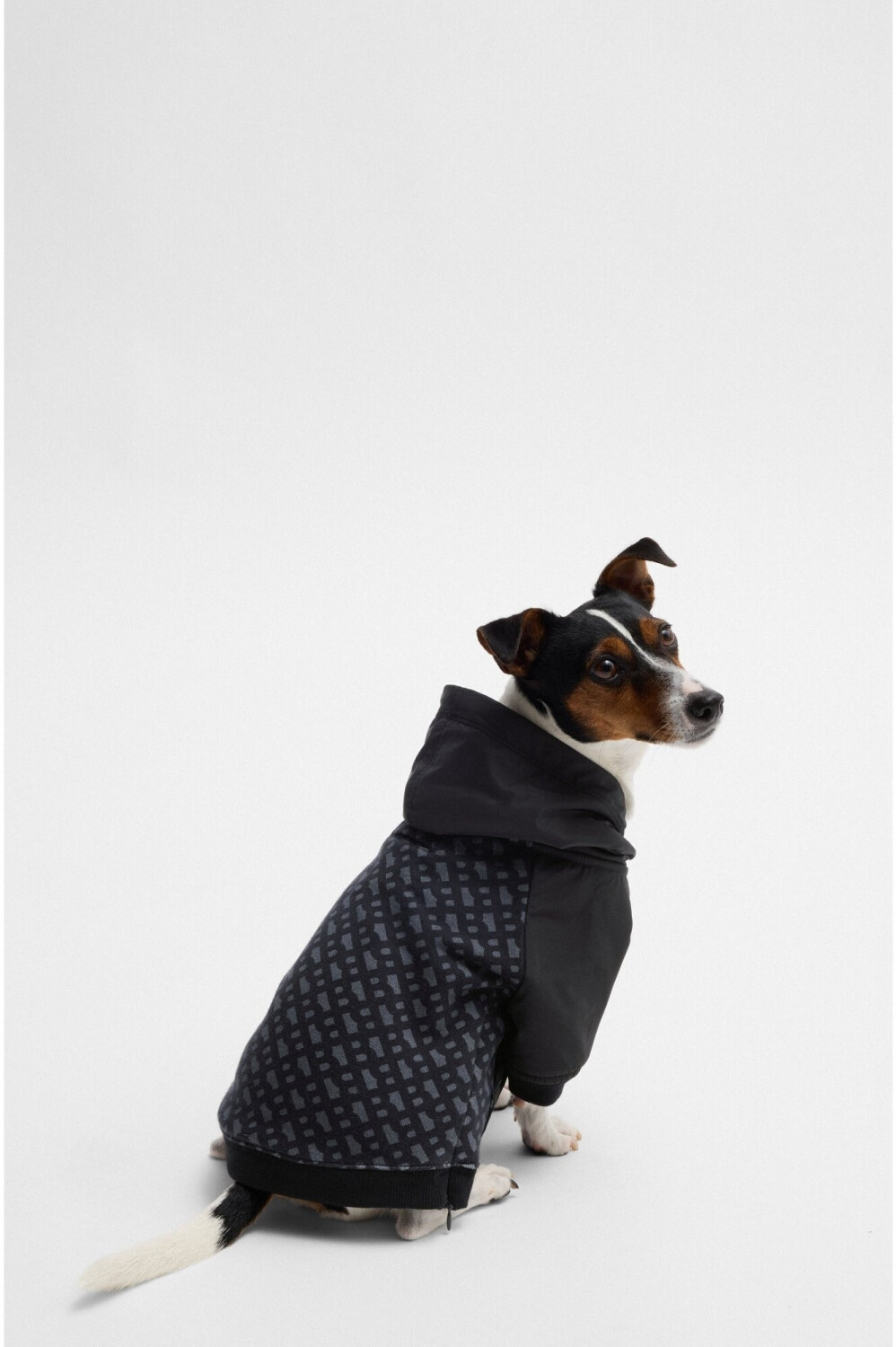 Hugo Boss Pull pour chien