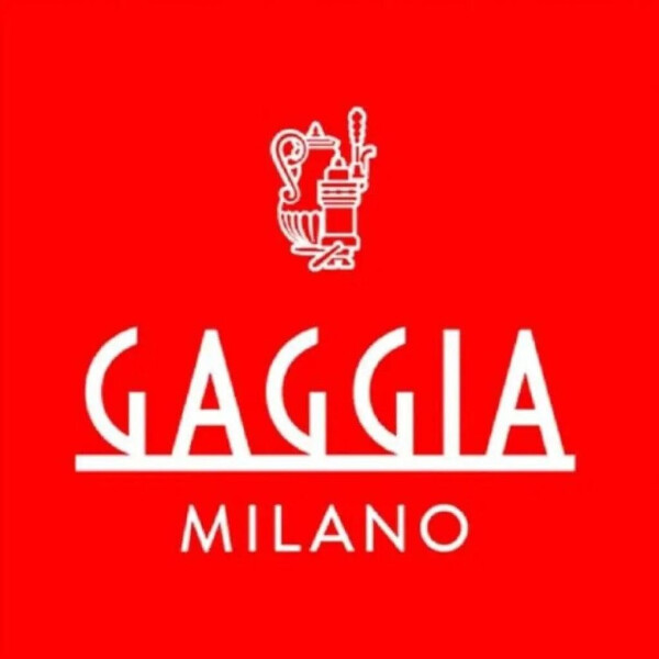 Gaggia Classic GT EG3500/10 silber, Bild 13