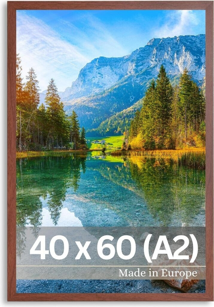 Premiere Springgerte 60 Cm – Braun, Mit Nylongriff & Verchromtem Knopf – Für Den Reitsport