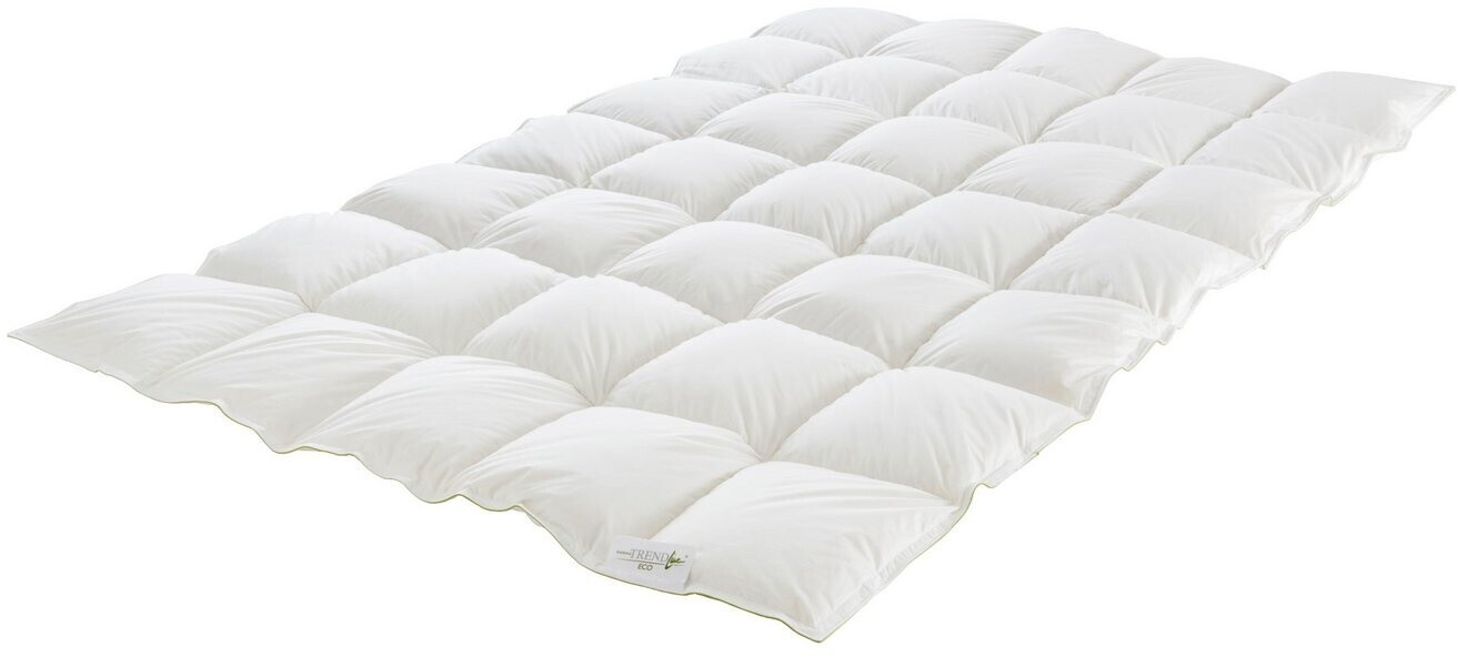 Badenia Trendline Eco normal ab 114,67 € | Preisvergleich bei idealo.de