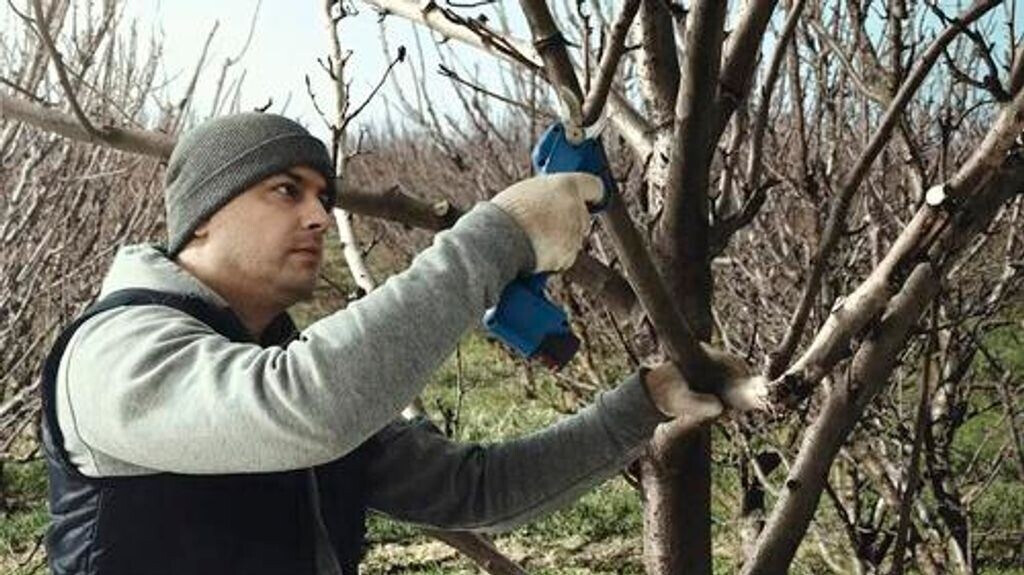 Bosch Bosch GGP 12V-25 (06008D8100) - view 17