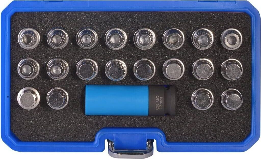 SW-Stahl Wheel Lock Removal Set for BMW, 21-piece (02381L)