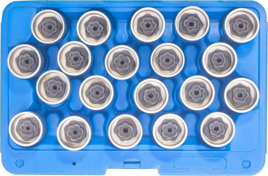 SW-Stahl Wheel Lock Removal Kit for BMW, 20-piece (02384L)