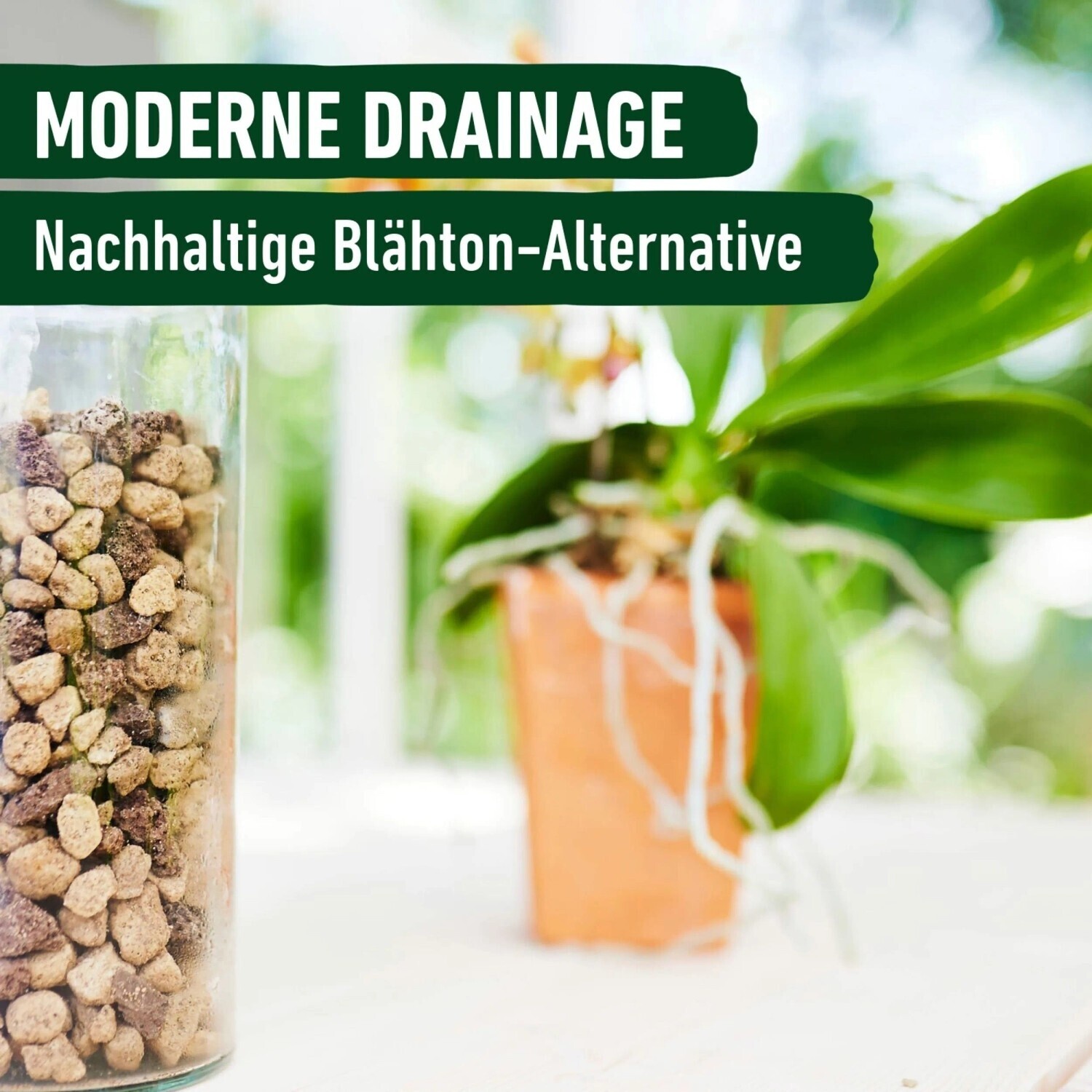 COMPO COMPO Granuplant Substrat pour Orchidées 3 l (24577) - back view