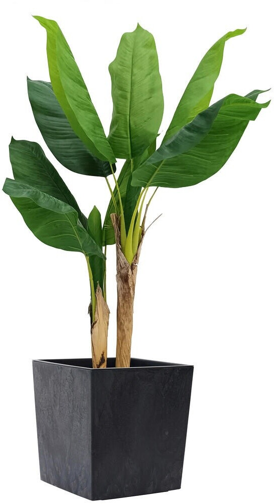 Siena Siena Garden Nizza Stone Flower Pot Concrete Look black (LA554-71) - back view