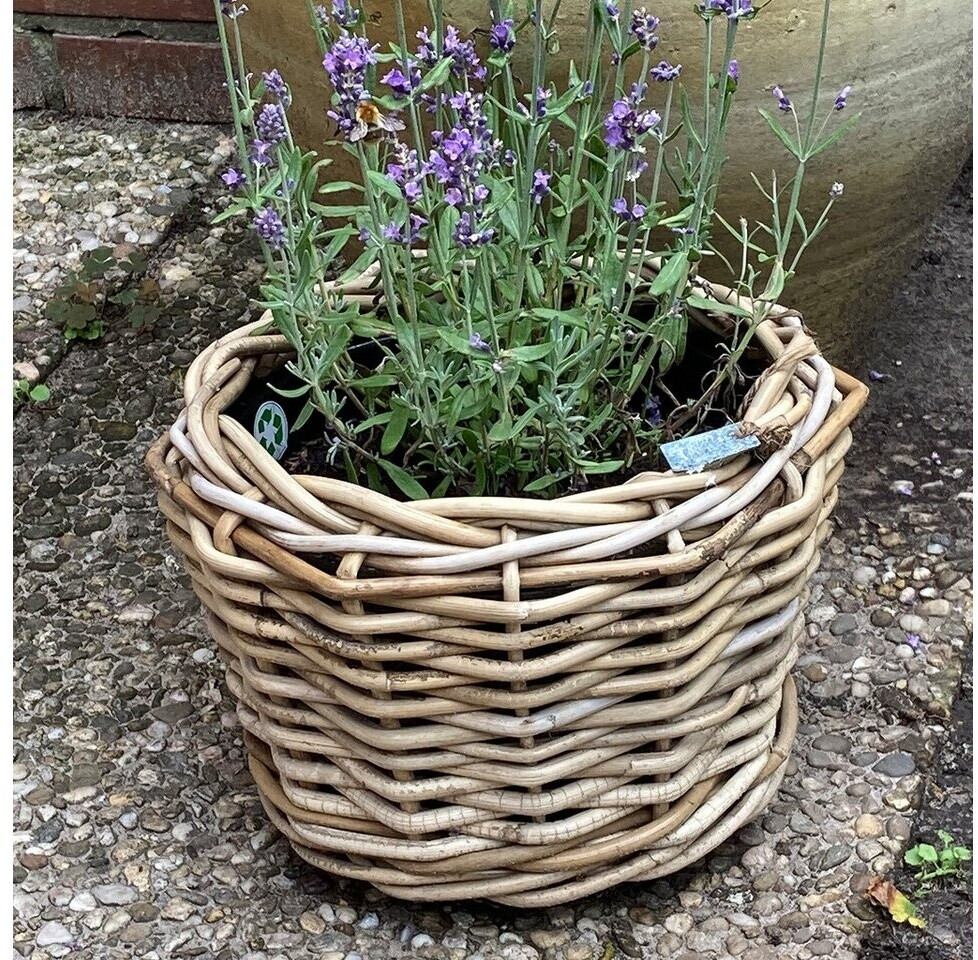 Van Van der Leeden DRYPOT Maceta de Ratán Gris Ø 32 cm (901252) - side view