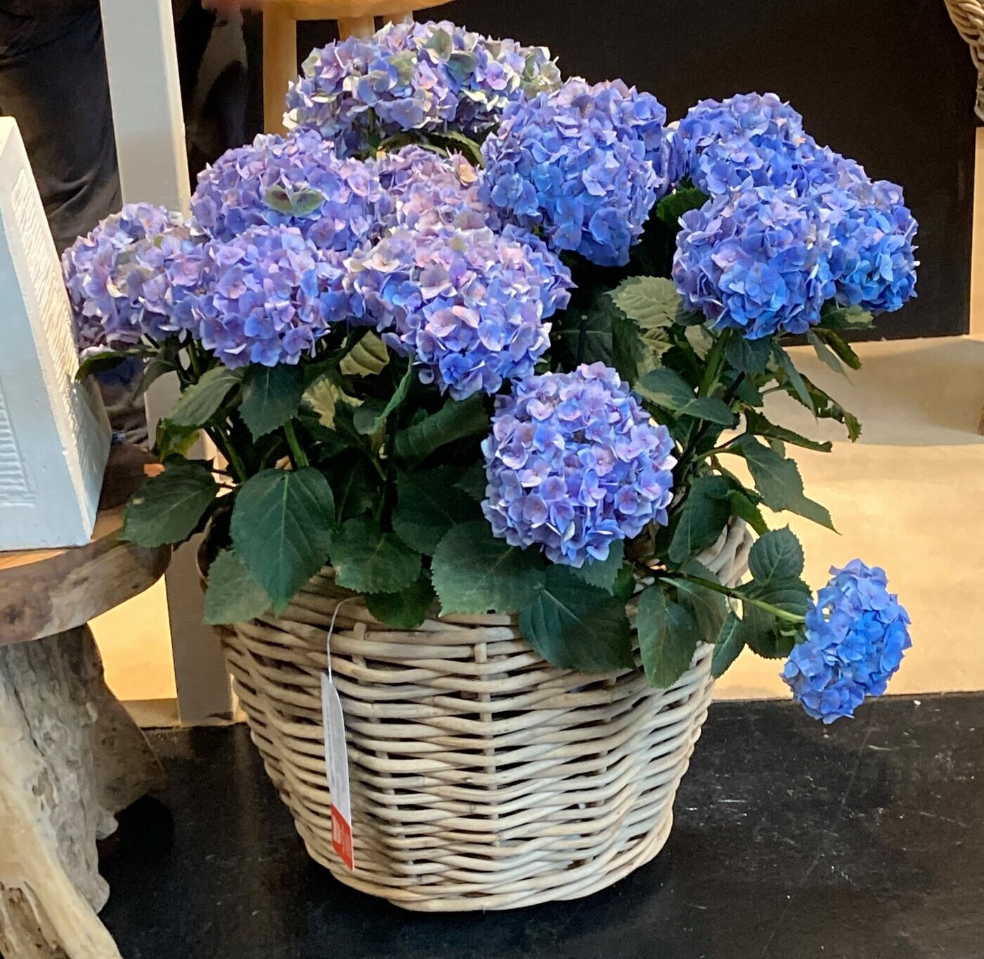 Van Van der Leeden DRYPOT Maceta de Ratán Gris Ø 32 cm (901252) - alternate view