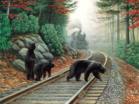 SunsOut Bear Tracks