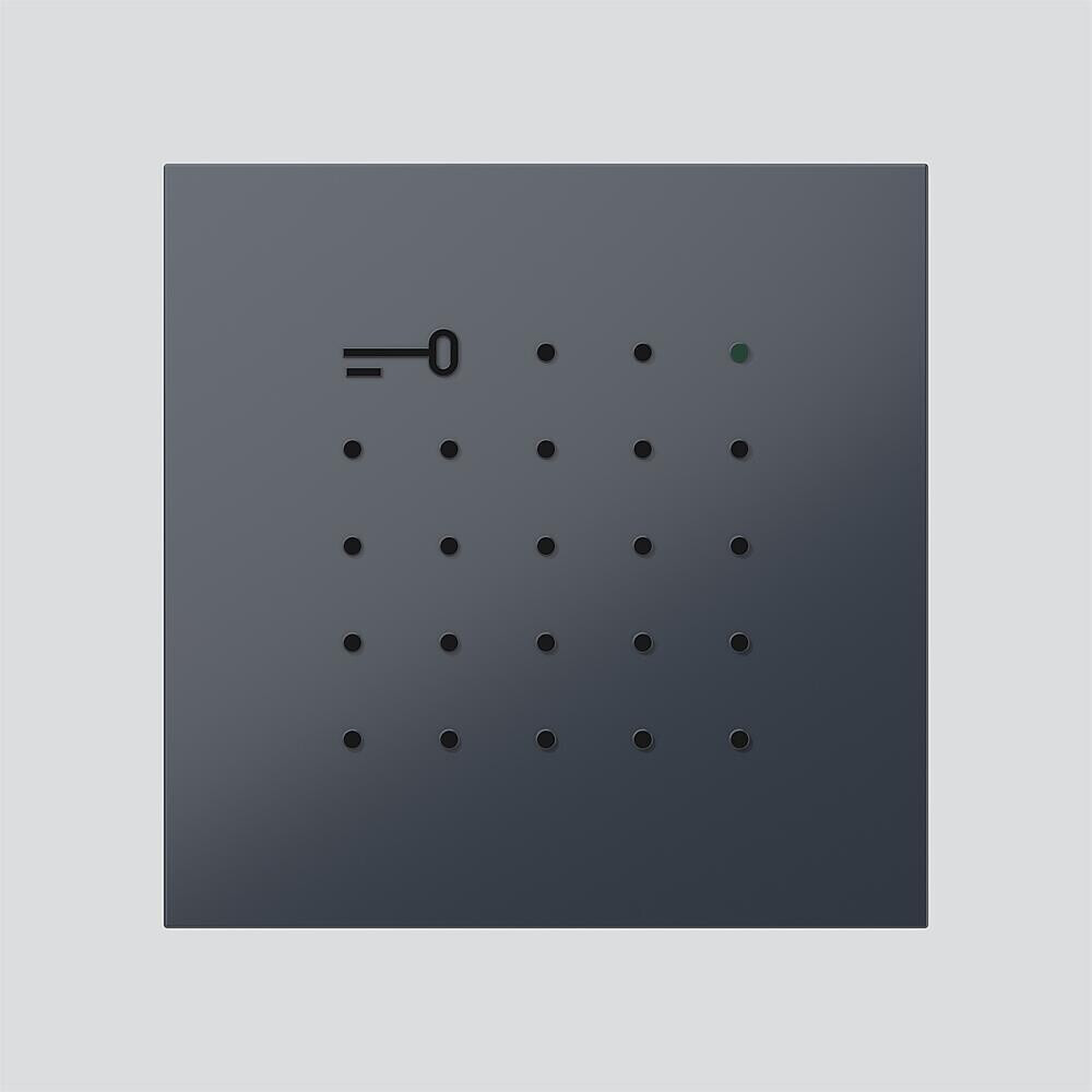 Siedle Blendrahmen for ELM 611-0 Vario / Electronic-Key-Lese-Modul anthracite gray (210006029-01)