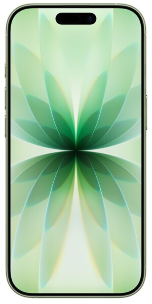 Apple iPhone 17 256GB Salbei, Bild 3