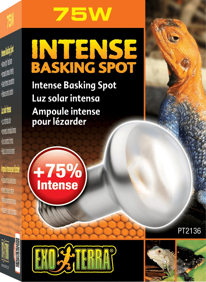 Exo Terra Intense Basking Spot 75 W (PT2136)