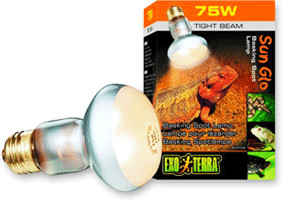 Exo Terra Intense Basking Spot 100 W (PT2138)