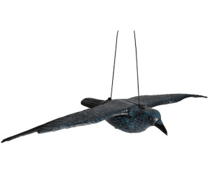 Siena Garden Vogelschreck Rabe fliegend L: 82 cm ab € 29,84 |  Preisvergleich bei