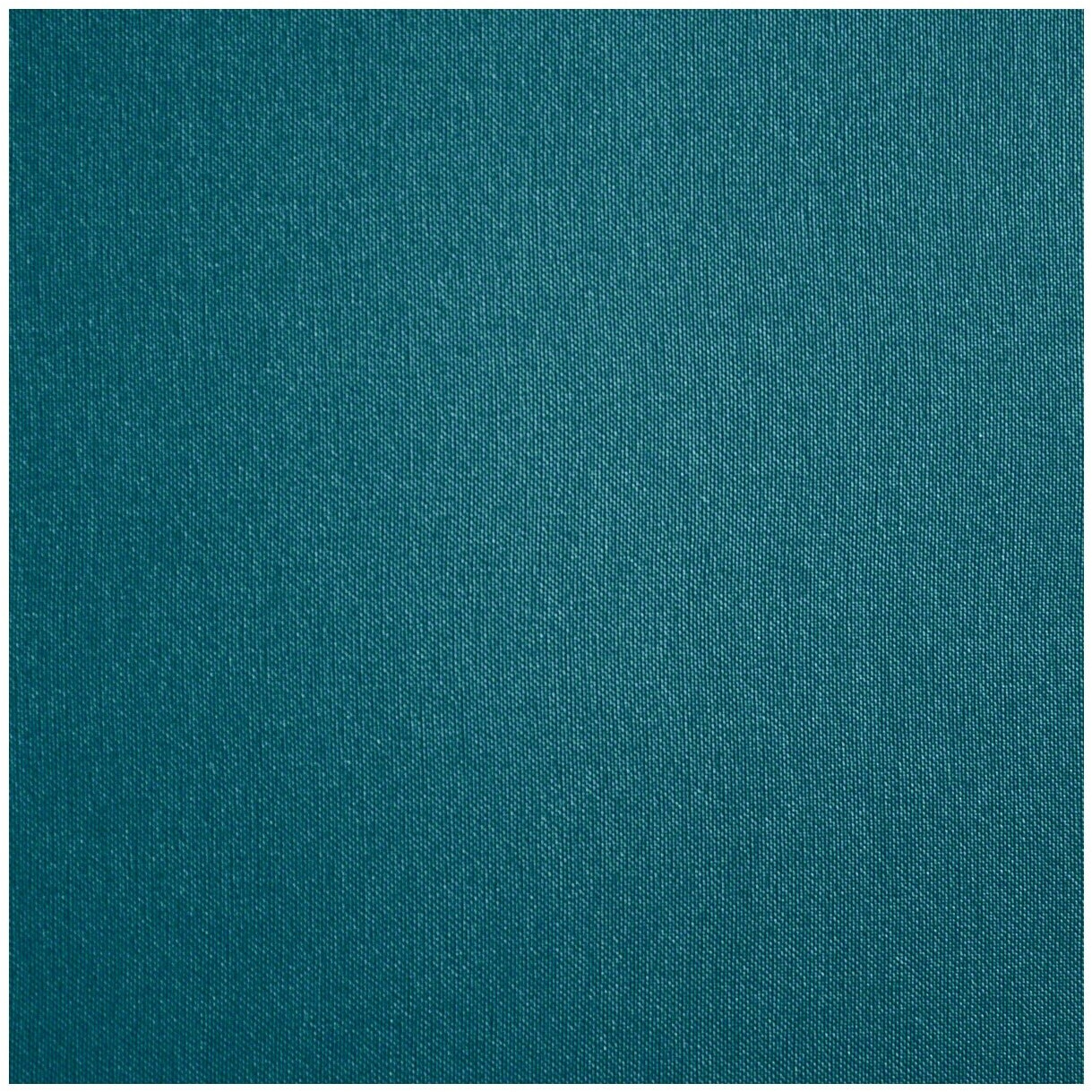 Lojer Capre F3R Elektrik mit Radautomatik Turquoise Lagoon 75 cm ab 3. ...