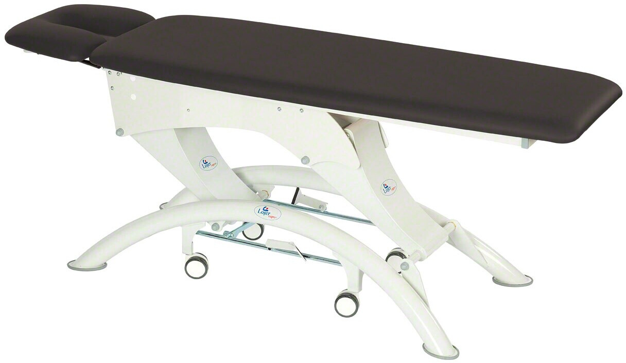 Lojer Capre M2R Elektrik mit Radautomatik Anthrazit 65 cm ab 2.595,00 ...