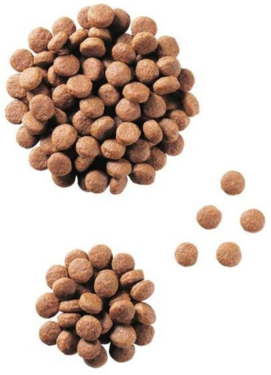 Royal Canin JUNIOR LARGE DOG Digest & Osteo (14 kg)