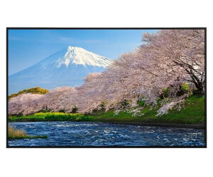 papermoon Infrarot-Bildheizkörper Fuji und Sakura (100 x 60 cm 800 W)