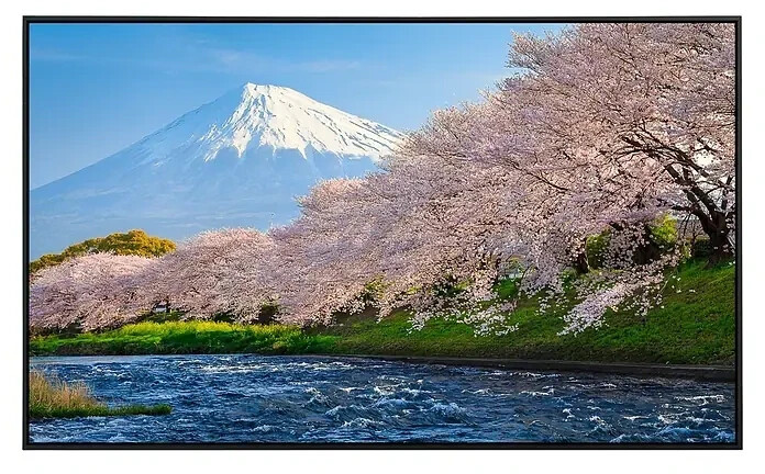 papermoon Fuji and Sakura Infrared Image Heater (100 x 60 cm. 800 W)