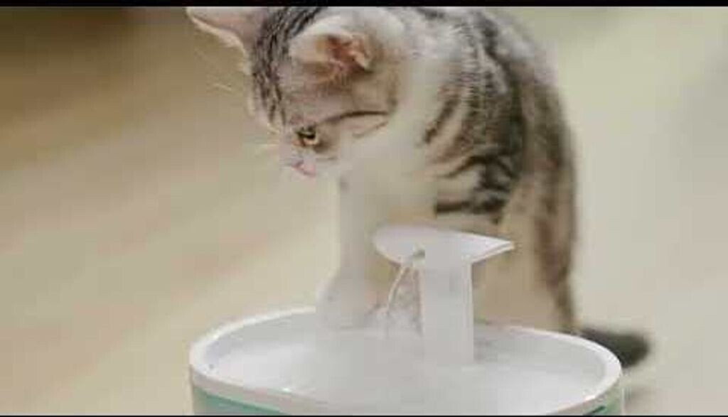 PETLIBRO Capsule Waterfontein 2,1 liter drinkfontein voor katten