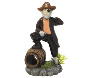 Nobby Pirate with Plants 8.2 x 7.7 x 14.7 cm