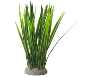 Nobby Vallisneria 6,5 x 6,5 x 16 cm