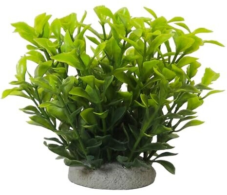 Nobby Aquariendekoration Aqua Ornaments Ludwigia grün