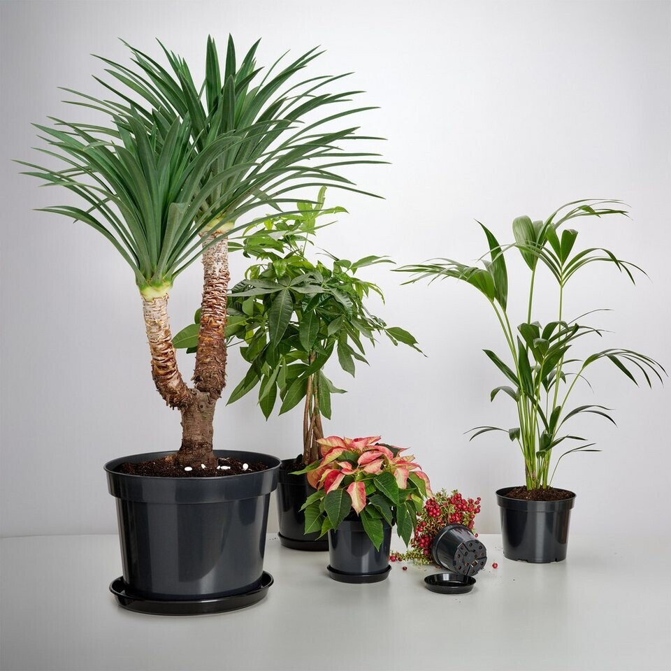 Garronda Blumentopf Kunststoff Pflanztopf rund Kräutertopf Anzuchttöpfe Blumentopf Schwarz für Innen und Aussen 39cm GD-0025 (1 Stück Schwarz ⌀ 39cm H=28,5cm) ab 7,49 € (Oktober 2026)