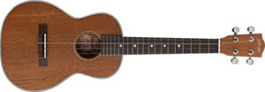 Stagg UT70-S