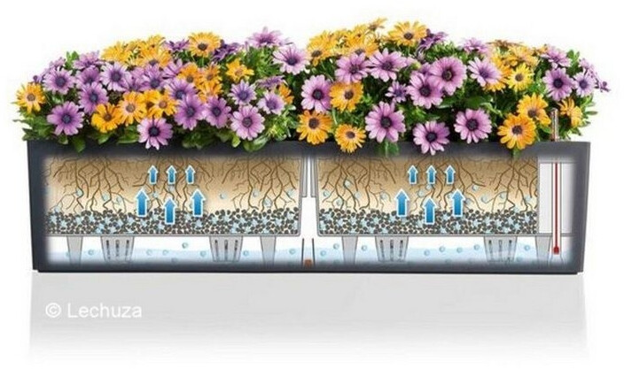 Lechuza Lechuza BALCONERA Color 100 nutmeg (15916) - alternate view