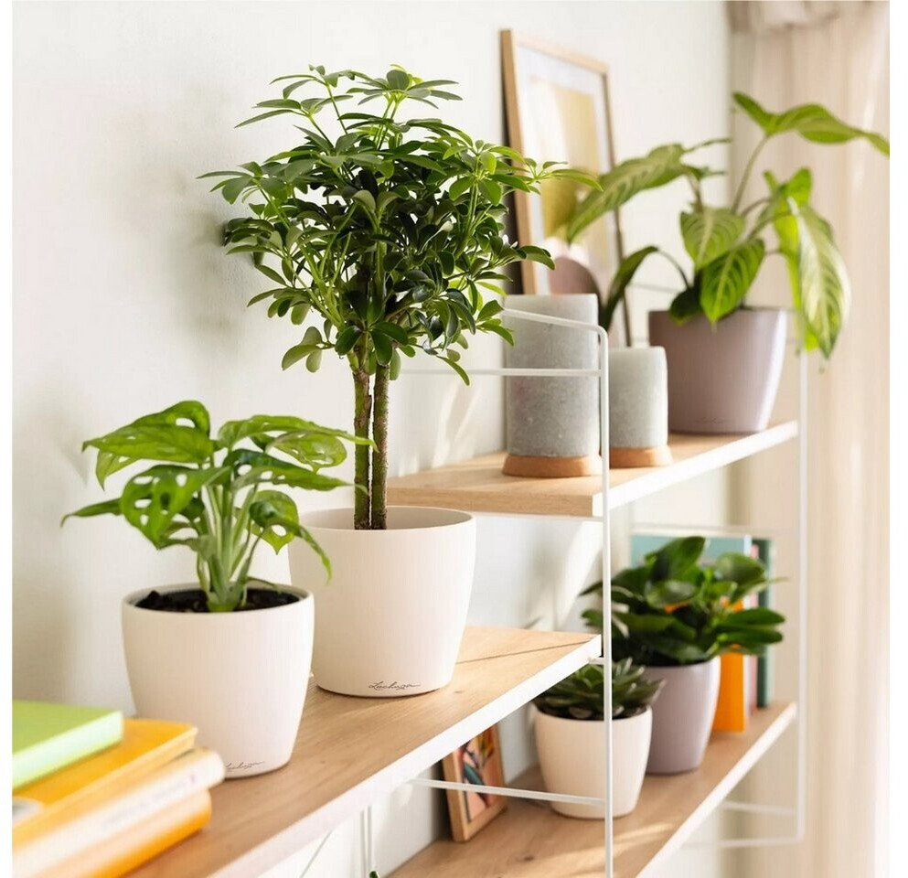 Lechuza Lechuza CLASSICO Color 14 DECO white (16681) - back view