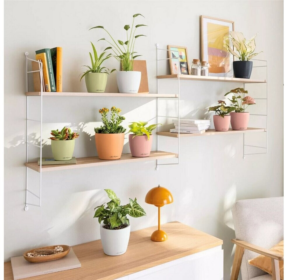 Lechuza Lechuza CLASSICO Color 14 DECO white (16681) - alternate view