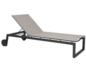 Stern Robin nature/darkgrey