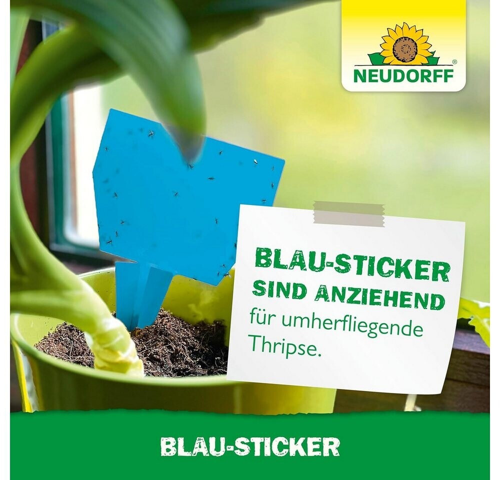 Neudorff Neudorff Blau-Sticker Thripse 10 Stück - alternate view