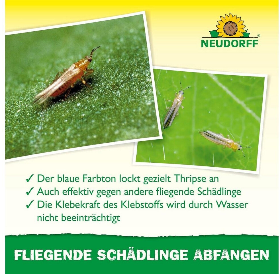 Neudorff Neudorff Blau-Sticker Thripse 10 Stück - view 6