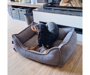 hundemantel kleine hunde Hundemantel fr den Winter  Schutz & Komfort