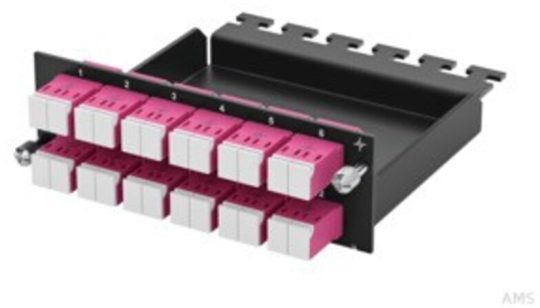 Telegärtner HD3-ES Patch-Modul 1 HE 12xLC-D OM4 100022372
