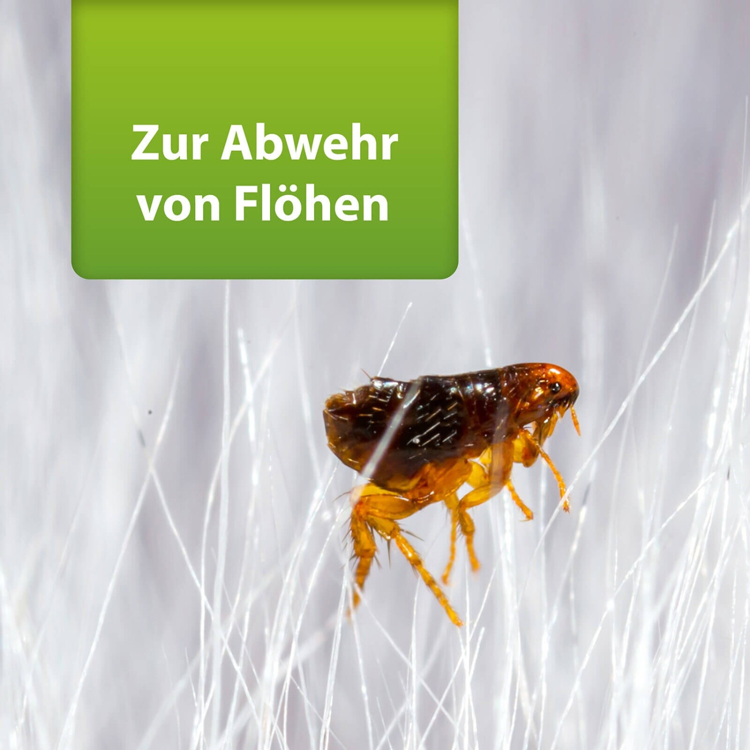 ARDAP ARDAP Repell Flohspray Indoor 750 ml - back view