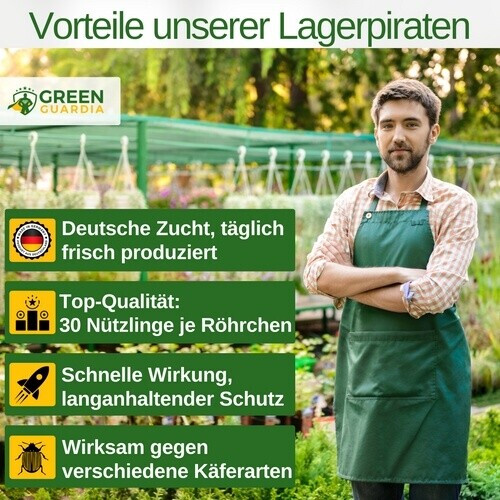 Green Green Guardia Lagerpiratenb 30 Stck. - detail view