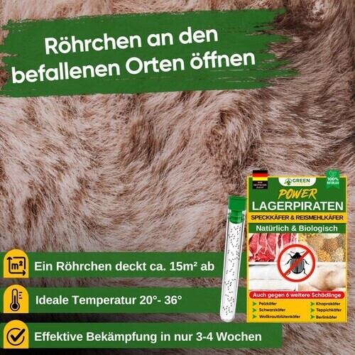 Green Green Guardia Lagerpiratenb 30 Stck. - alternate view