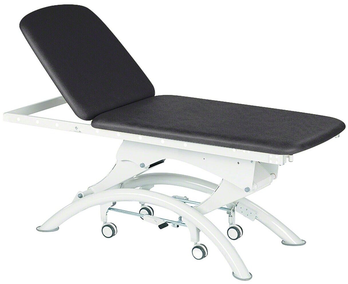Lojer Capre E2 mit Radautomatik Carbon ab 2.694,99 € | Preisvergleich ...
