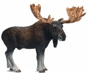 Schleich Moose Bull