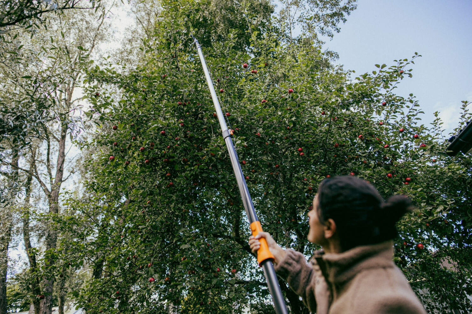 Fiskars Fiskars Adapter Value Saw OneClick L.621 mm - back view