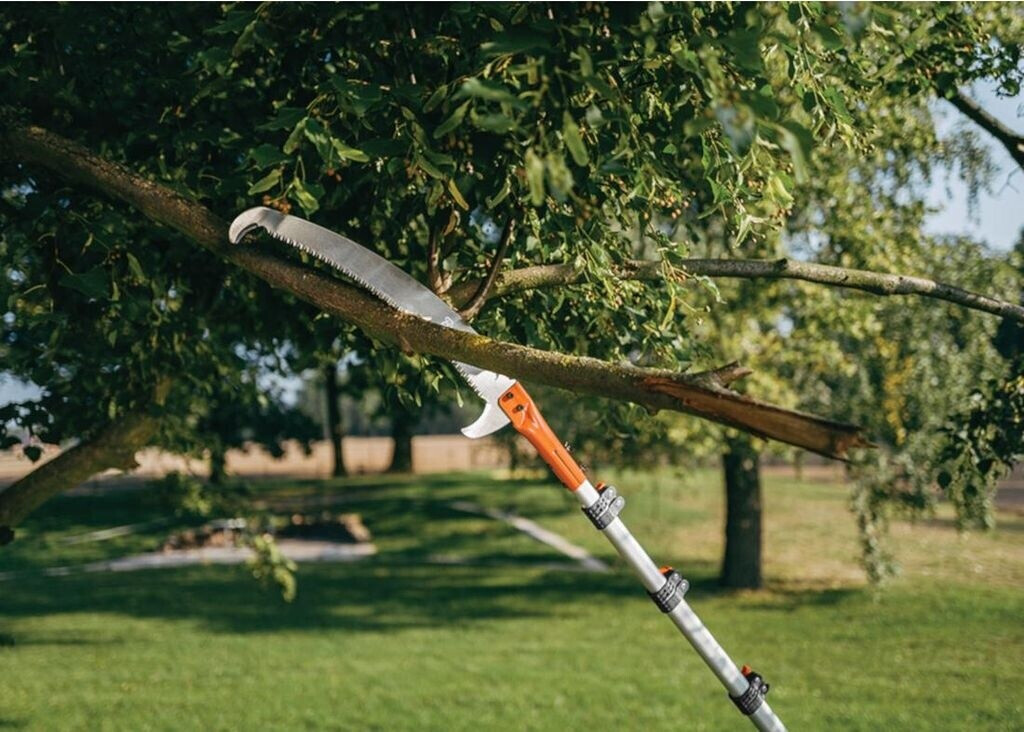 Bradas Bradas KT-V1501 KT-V1501-550 - detail view