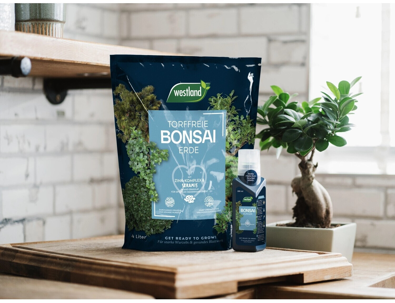 Westland Bonsai Erde TF, 4 l ab 5.39  | Vergleiche 7 Angebote auf idealo.de