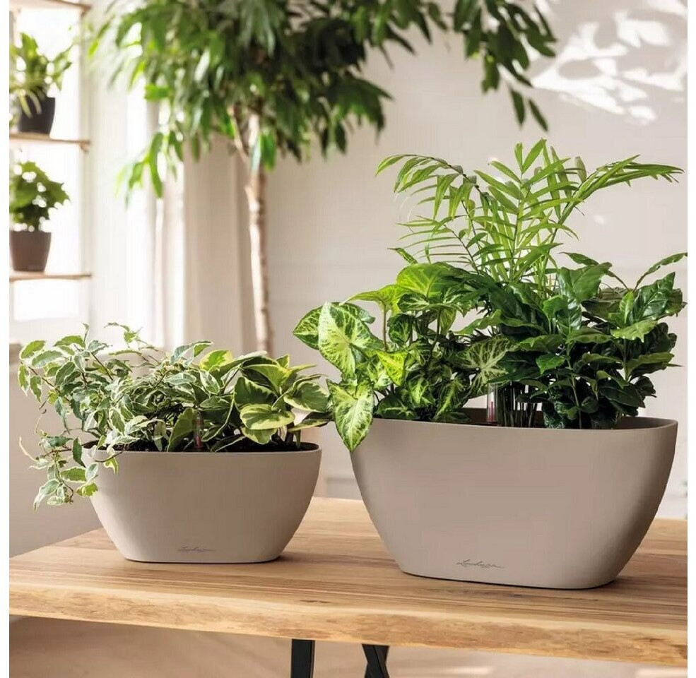 Lechuza Lechuza Navio Color 10 19422 - back view