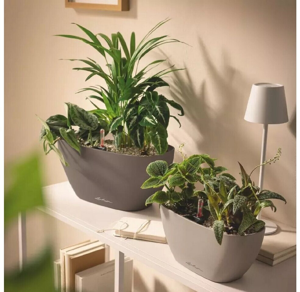 Lechuza Lechuza Navio Color 10 19422 - detail view