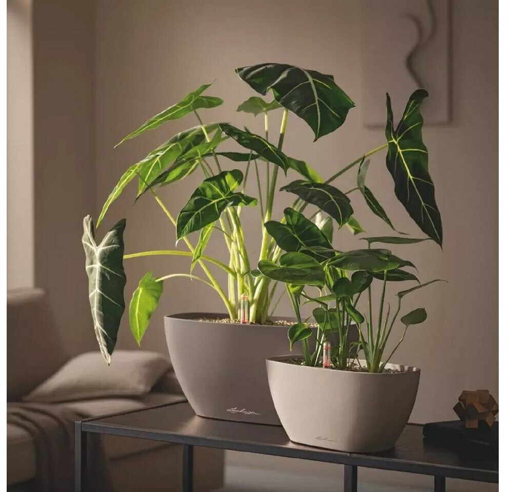 Lechuza Lechuza Navio Color 10 19422 - view 6