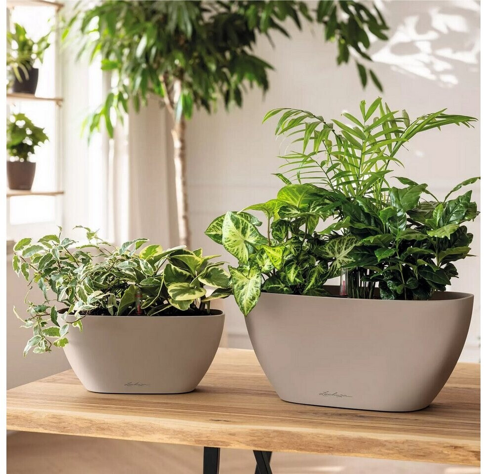 Lechuza Lechuza Navio Color 20 19430 - back view